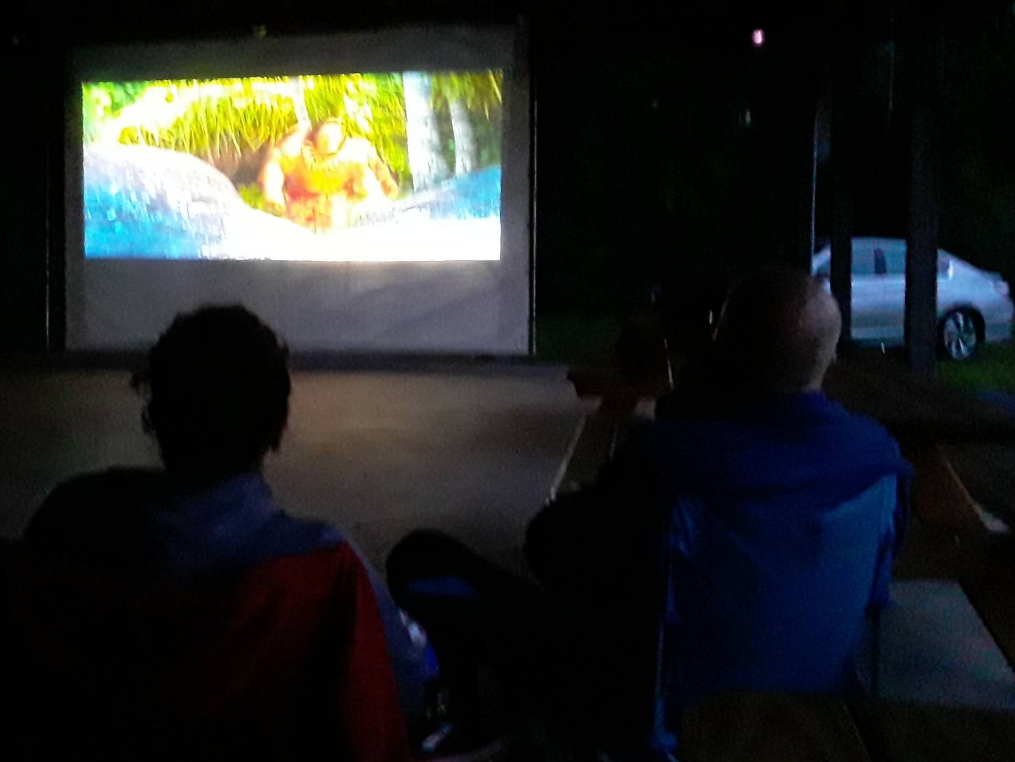 Movie In The Park